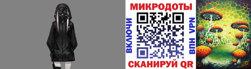 kraken как зайти Краснодар Галлюциногенные грибы GOLDEN TEACHER магазин